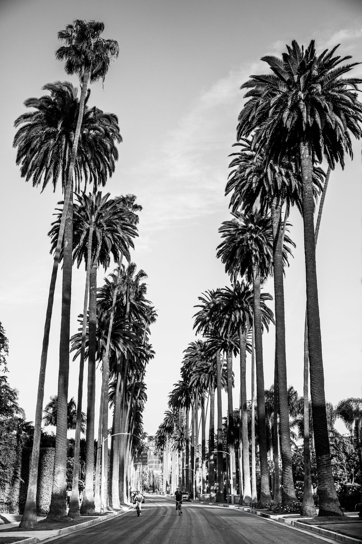 Beverly Hills Bike Ride