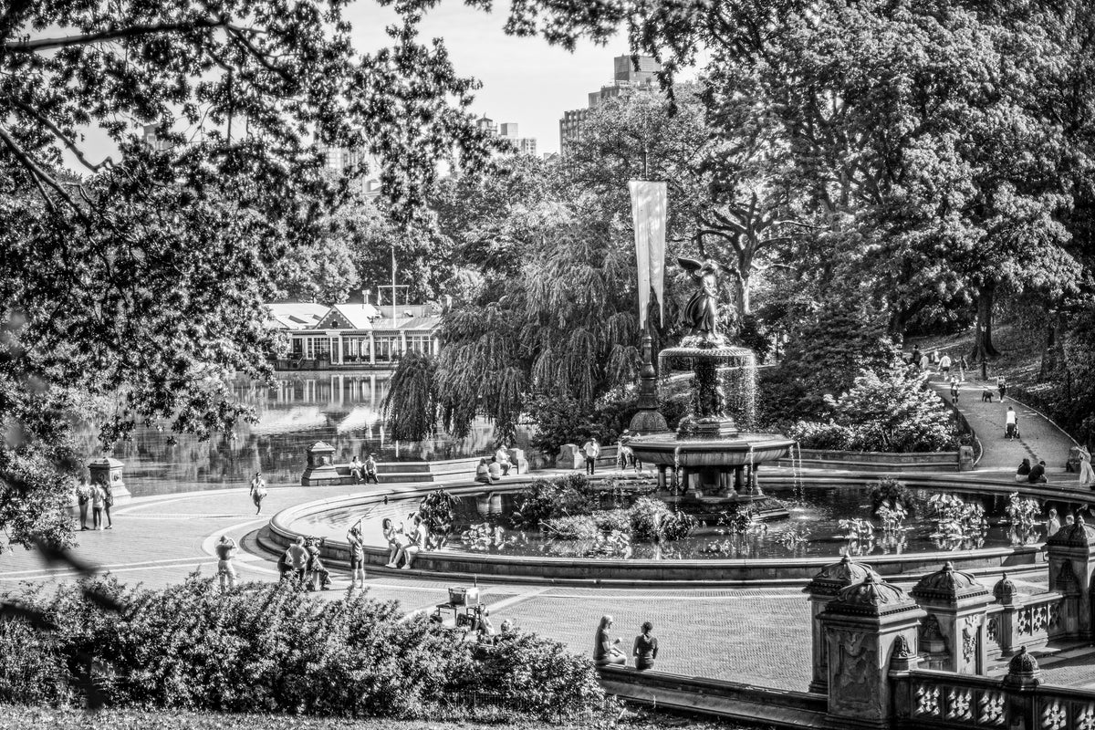 Central Park Life