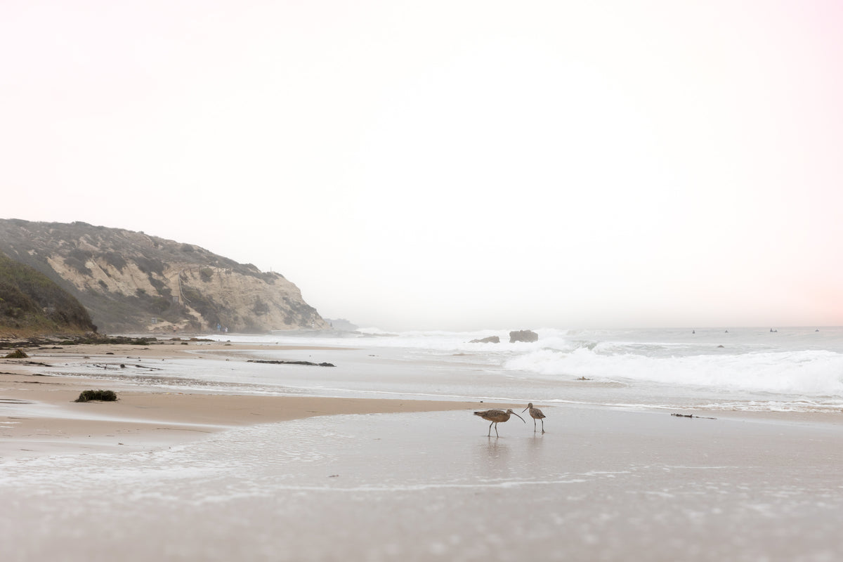 Crystal Cove